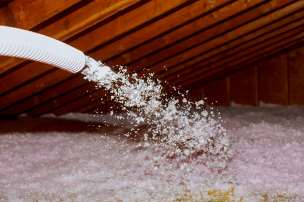 Best Eco-Friendly Insulation in Bronx, NY